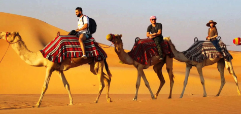 Rajasthan Tour